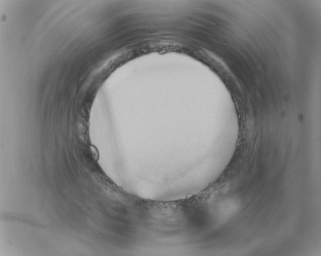 X0000064040823200602242318