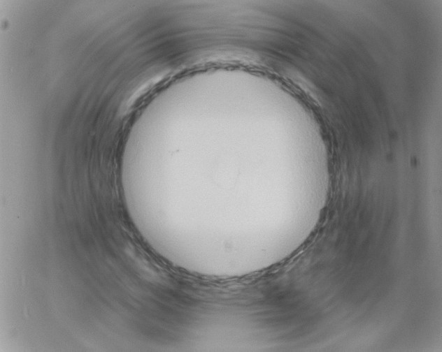 X0000064040824200602242318