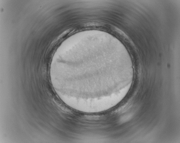 X0000064040825200602242318