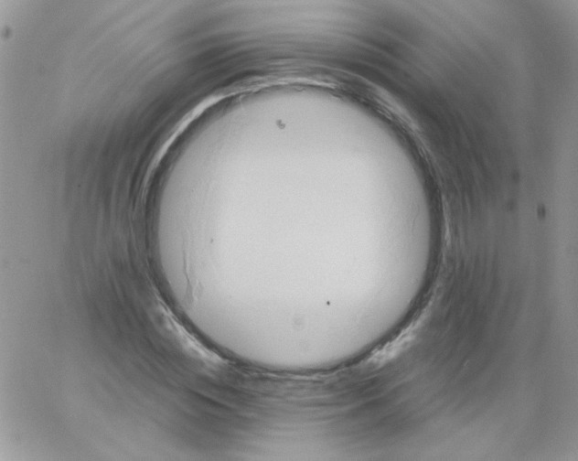 X0000064040828200602242318