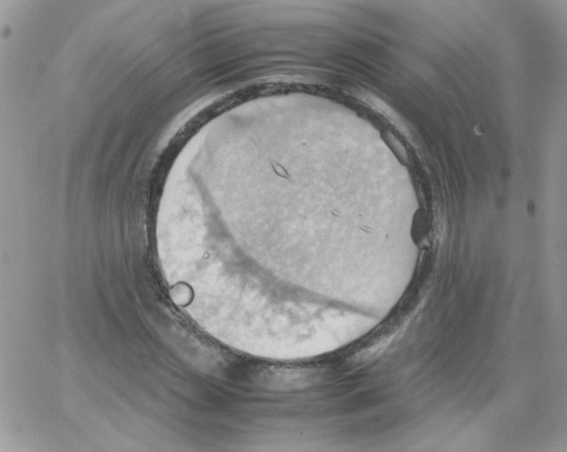 X0000064040829200602242318