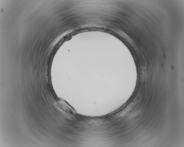 X0000064040830200602242318