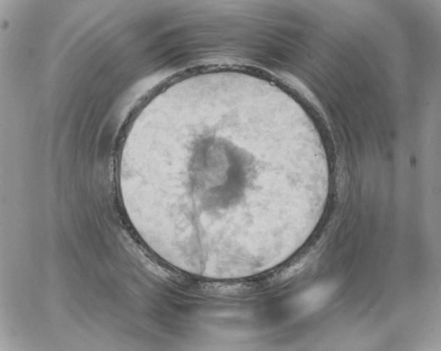 X0000064040831200602242318