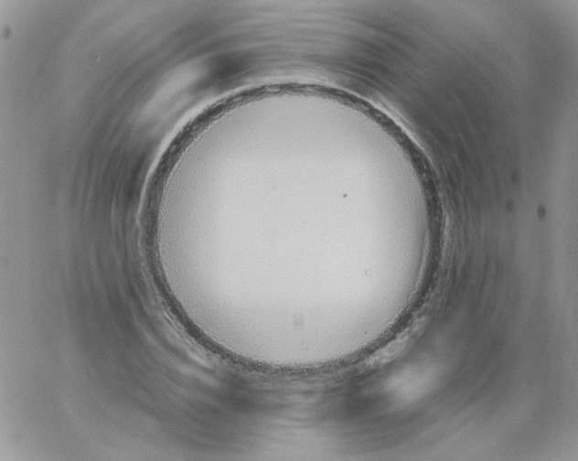 X0000064040832200602242318