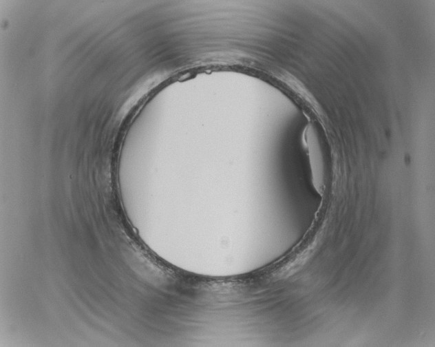 X0000064040834200602242318