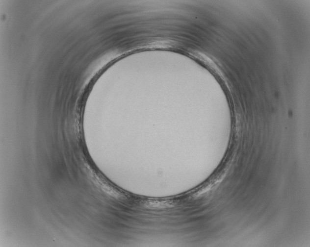 X0000064040835200602242318