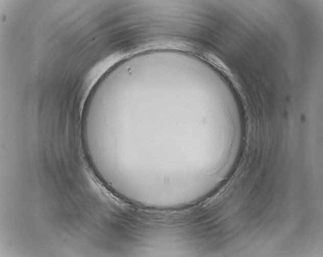 X0000064040836200602242318