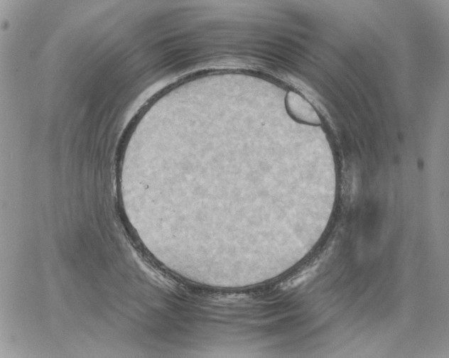 X0000064040837200602242318