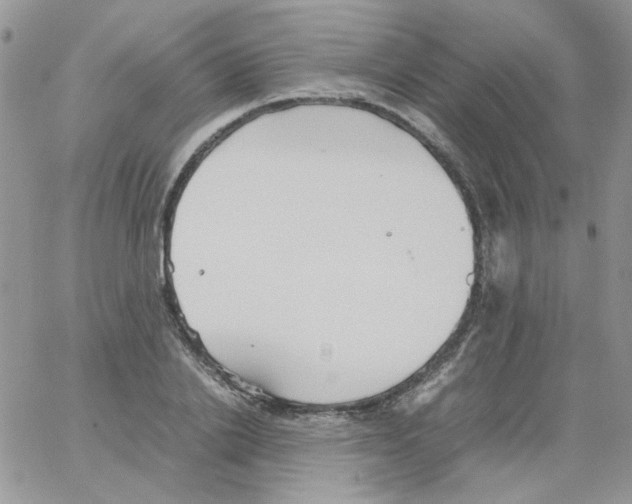 X0000064040838200602242318