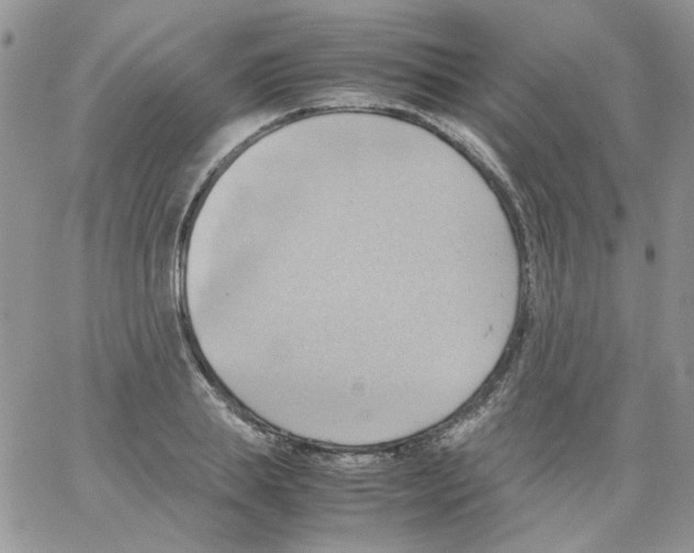 X0000064040839200602242318