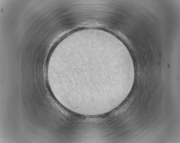 X0000064040840200602242318