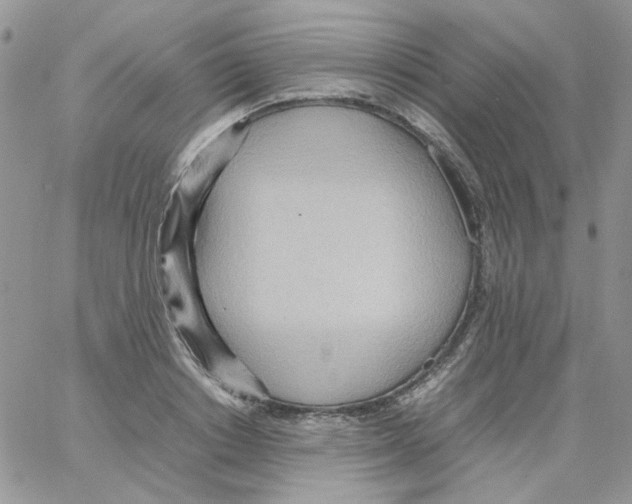 X0000064040842200602242318