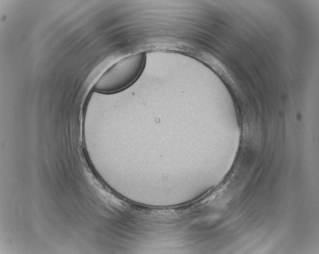 X0000064040844200602242318