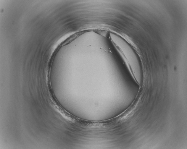 X0000064040846200602242318