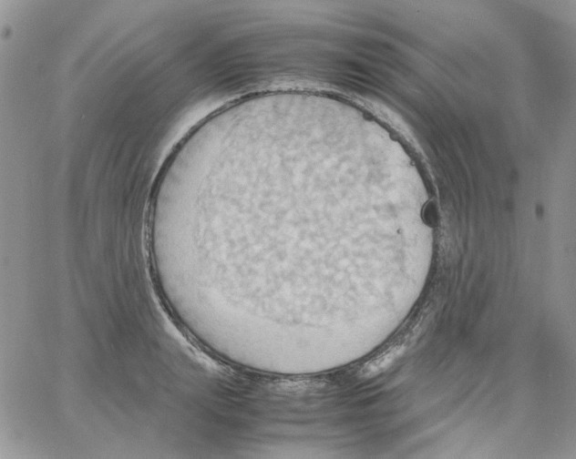 X0000064040847200602242318