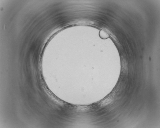 X0000064040848200602242318