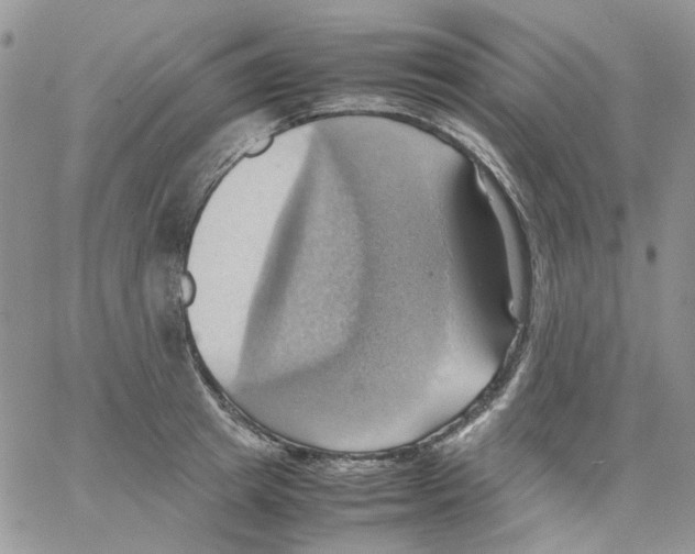 X0000064040849200602242318