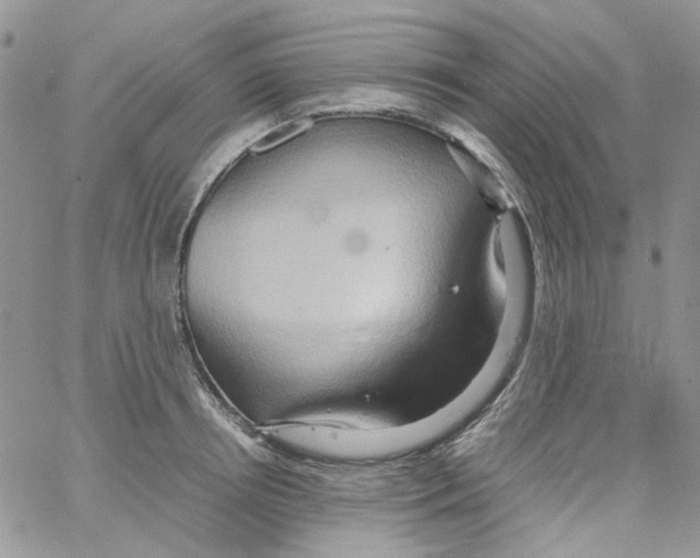 X0000064040850200602242319