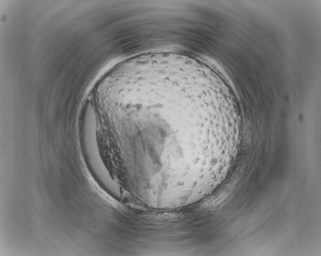 X0000064040851200602242319