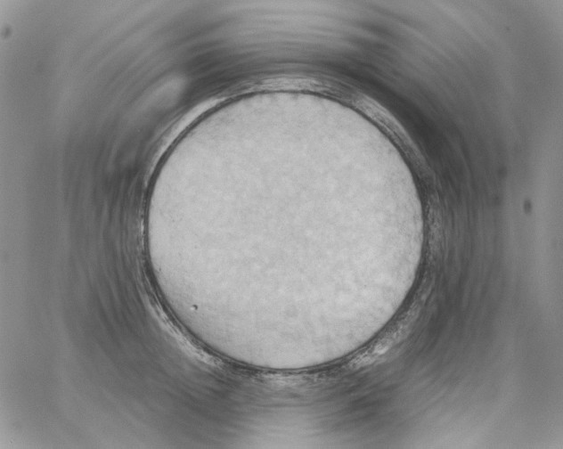 X0000064040852200602242319