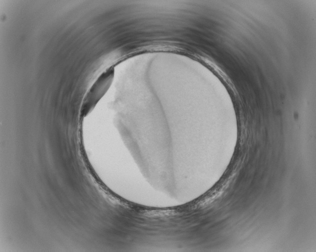 X0000064040853200602242319