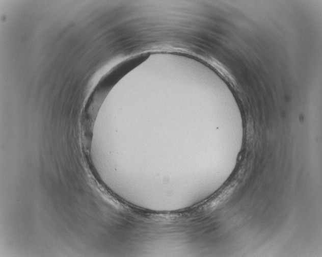 X0000064040854200602242319