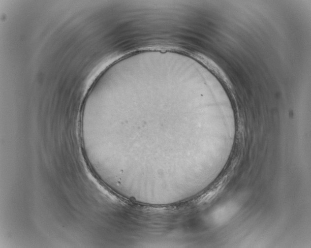 X0000064040855200602242319