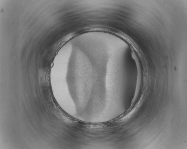 X0000064040857200602242319