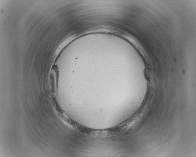 X0000064040858200602242319