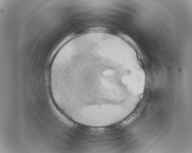 X0000064040859200602242319