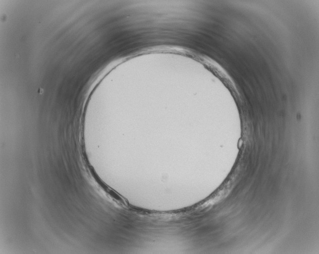 X0000064040860200602242319