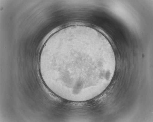 X0000064040861200602242319