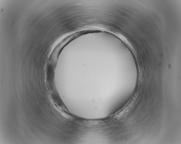 X0000064040862200602242319