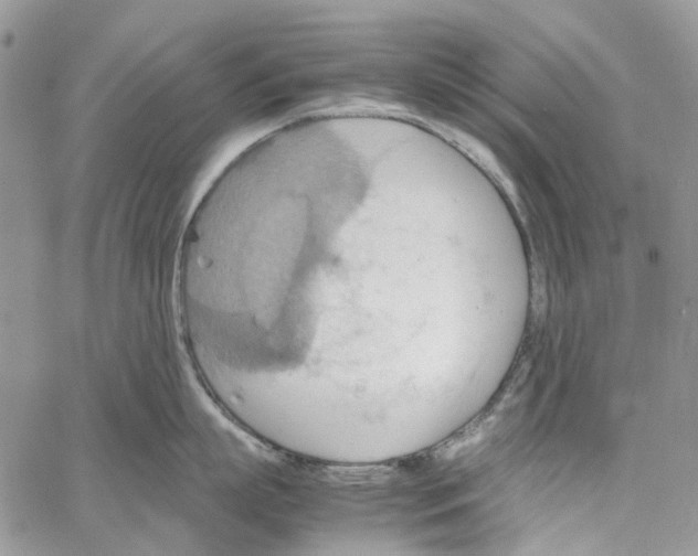 X0000064040863200602242319