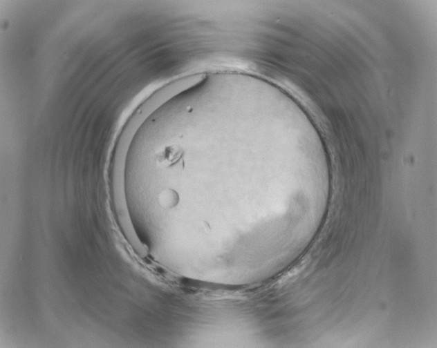 X0000064040864200602242319