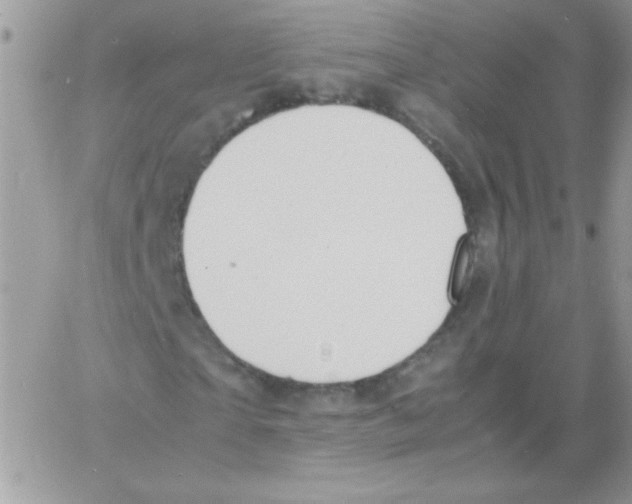 X0000064040865200602242318