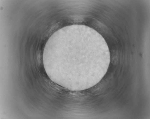 X0000064040866200602242318