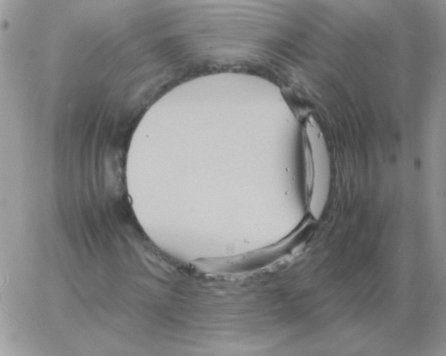 X0000064040868200602242318