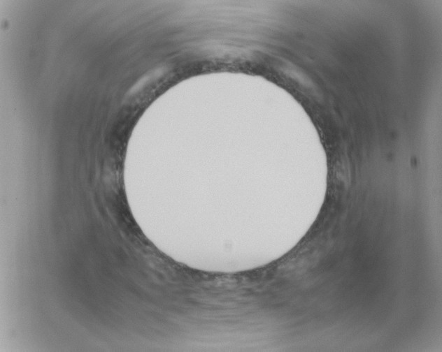 X0000064040869200602242318