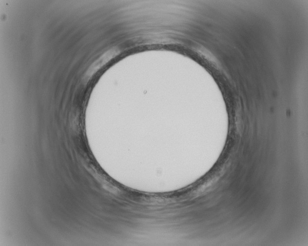 X0000064040873200602242318