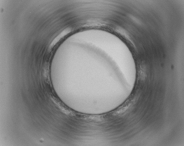 X0000064040874200602242318