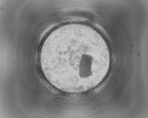 X0000064040875200602242318