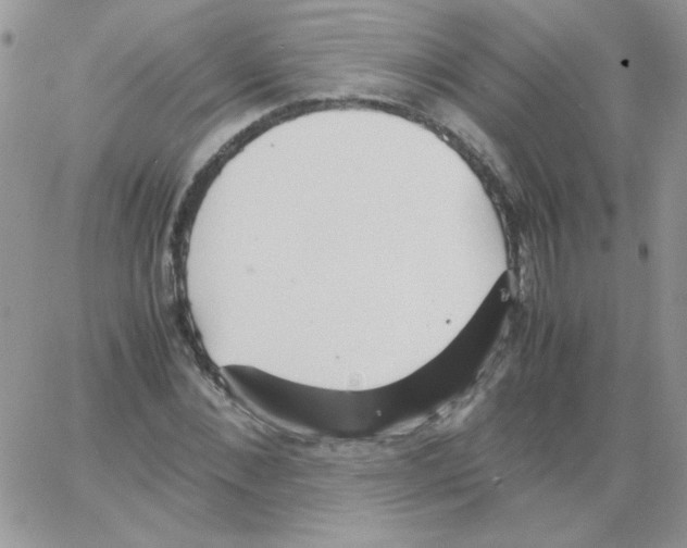 X0000064040876200602242318