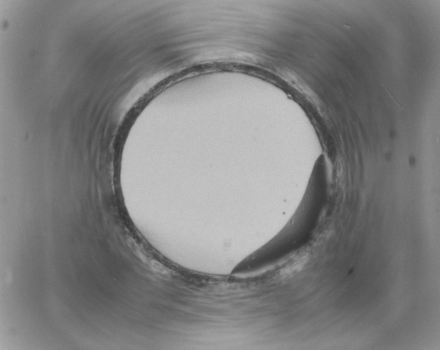 X0000064040877200602242318