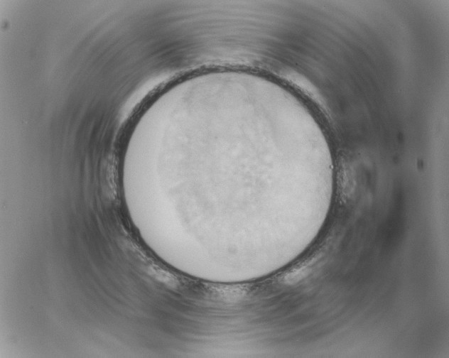 X0000064040878200602242318