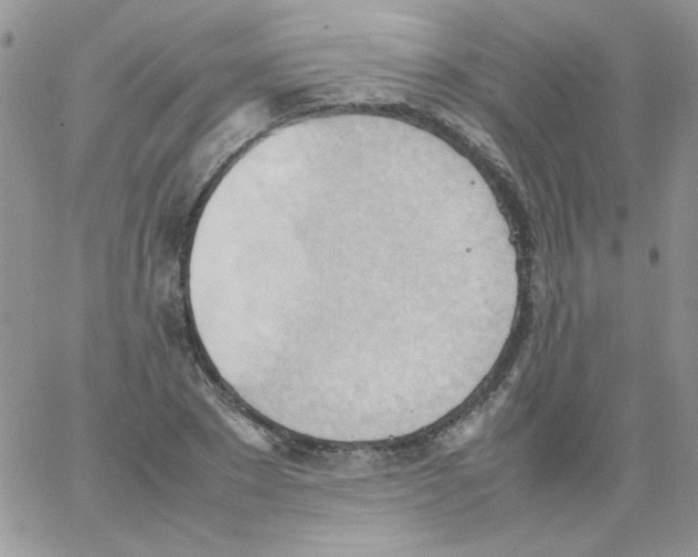 X0000064040881200602242318