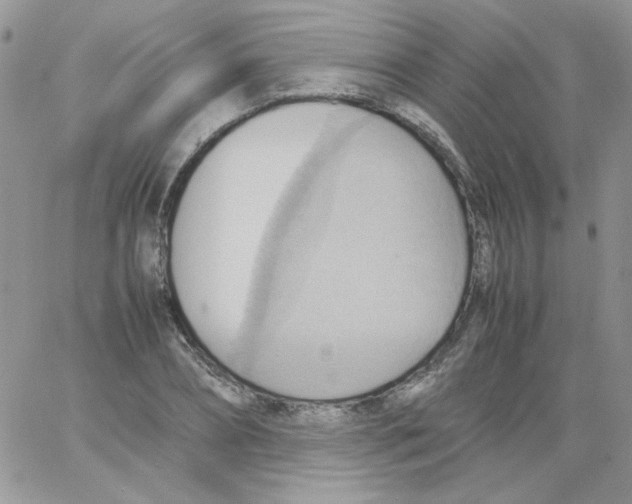 X0000064040882200602242318