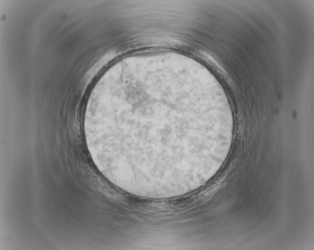 X0000064040883200602242318