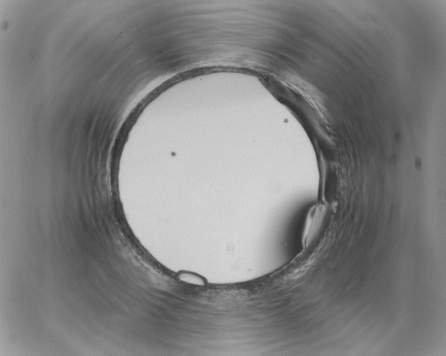 X0000064040884200602242318