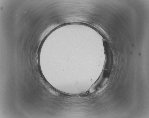 X0000064040885200602242318